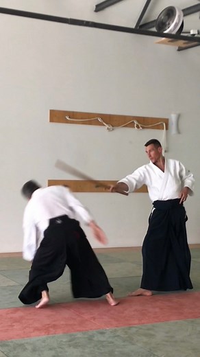 170K views · 2.6K reactions | Bonn seminar extract, Germany 2024 | Aikido - Daniele Montenegro | Facebook