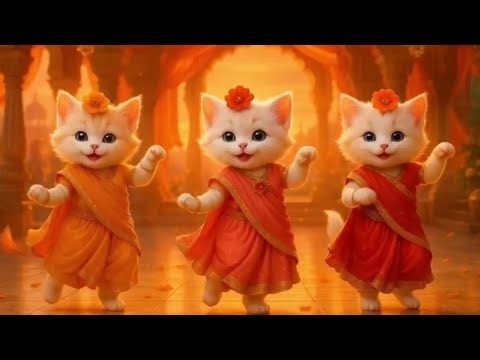Cat Videos Cat Video Cat Dance | Cutest Cat videos Cat funny dance 🤣💃| Funny Cat