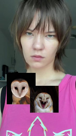 Owl Symbolism and Wisdom