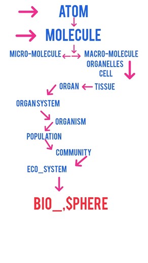 Cellular Level of Organization Explained! (Class 9 Science Ch 1) #Biology