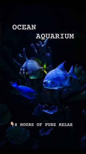 Dark Ocean Aquarium 🌙 8 Hours of Peaceful Fish #aquarium #fish #relax #ocean #sleepsounds #relaxing