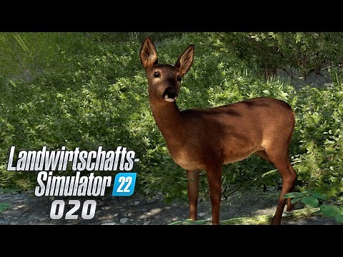 LANDWIRTSCHAFTS-SIMULATOR 22 🚜 #020 • Tiere? Produktion? Wohin soll die Reise gehen? • LET'S PLAY