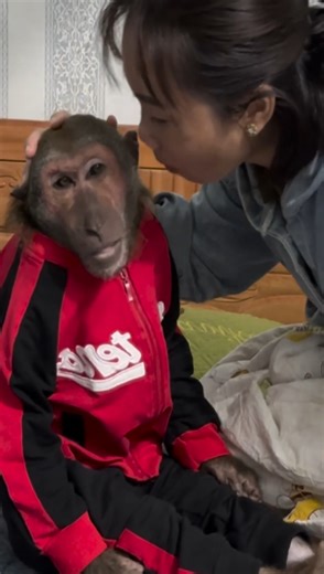 Monkey Abu sad crying because angry with Mom! what's up #reels #reelfb #funny #fyp #adorable #animal #monkey #babymonkey #MonkeyBaby #monkeys #animals | LaLa Monkey
