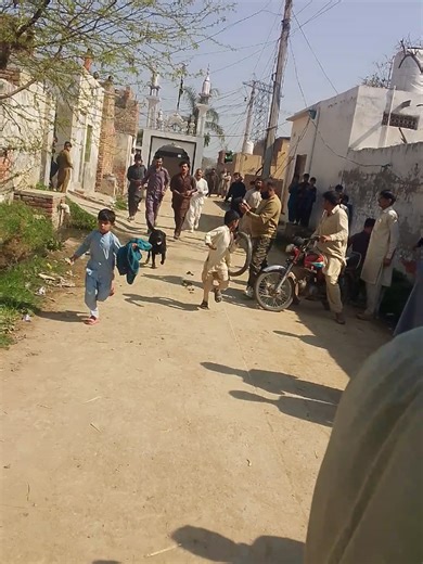 Khoji Dog and Fauji Dog Services in Pakistan