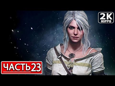 THE WITCHER 3: WILD HUNT Полное Прохождение Часть 23 ВЕДЬМАК 3 ДИКАЯ ОХОТА #shorts