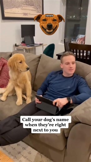 🐶 : are you serious? #dog #funny