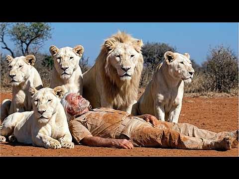 An Old Man Saves Baby Lions' Lives. Ten Years Later, Something Amazing Happens!