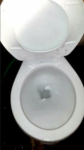 Custom Gerber Forward Trap Toilet