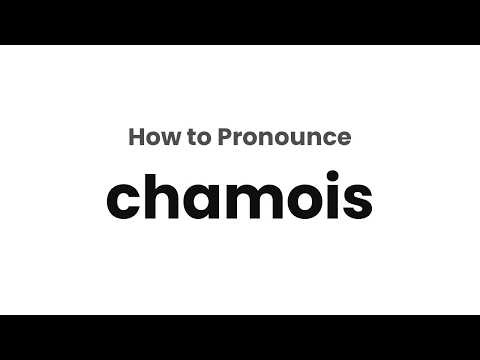 How to Pronounce chamois