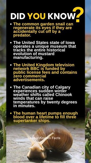 Did you know? #didyouknow #facts