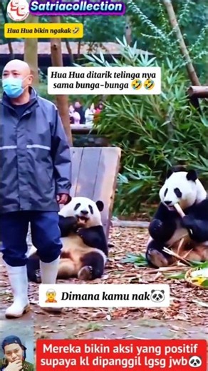 HUA HUA MAKES YOU CRY! HIS EARS ARE PULLED BY HIS FRIEND, HIS REACTION IS SO FUNNY🤣