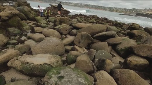 Where to visit tide pools in San Diego after King Tides