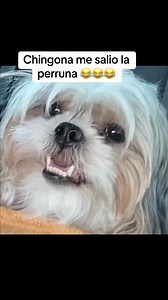 Veronica Robles on Reels