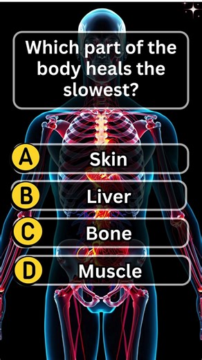 Gk questions and answers | Trivia game questions | English Quiz Game