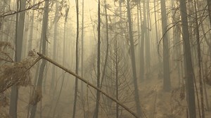 Illinois Valley Fire District: residents near Cave Junction are safe from Slater Fire, but should be aware - KOBI-TV NBC5 / KOTI-TV NBC2