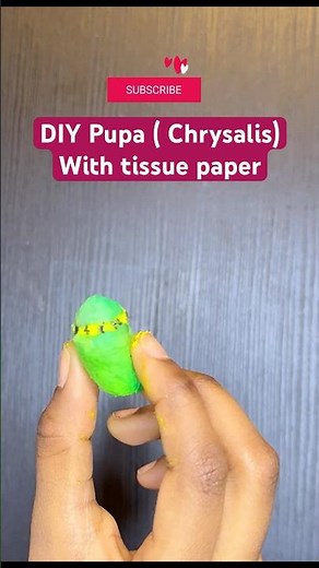 Diy Pupa (Chrysalis) Model 🦋 with tissue paper | School Project DIY #shorts