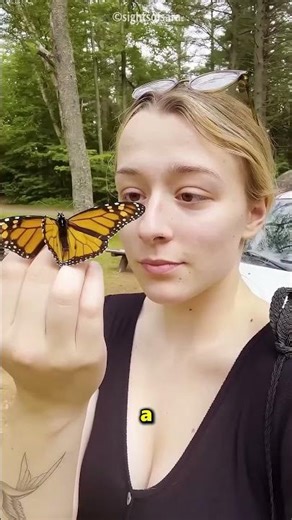 This Girl Helped a Beautiful Butterfly Fly Again ❤️