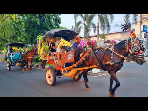 NAIK KUDA ~ KUDA DELMAN ~ NAIK DELMAN ISTIMEWA ~ LAGU DUA MATA SAYA ~ DI SINI SENANG DI SANA SENANG