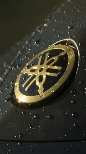 There’s a moment on the Yamaha FX Series when the water settles, the bow lifts, and everything else falls away. The hull feels planted. The power comes on smooth. The ride turns glassy and controlled in a way only a Yamaha can deliver. #feelinggood | Pro Motorsports