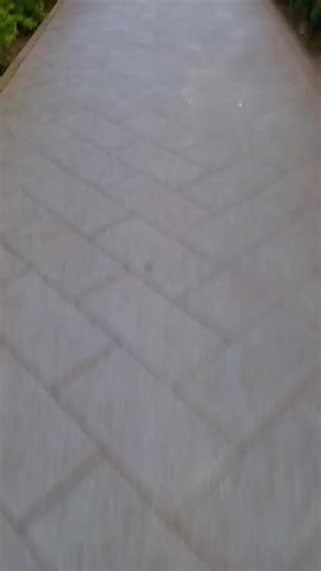 Tiktok229🇧🇯 godplan-drak😎 @Mon Didi ☑