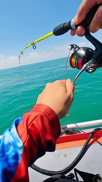 Ngoài rạng nhiều loại cá lạ quá , anh em tìm hiểu giúp #cauca #fishing #seafishing #xuhuong #jigging