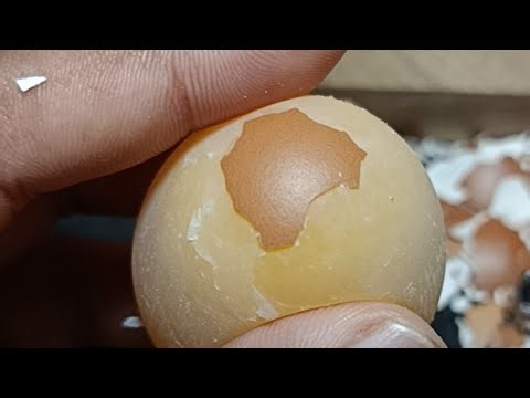 Raw Egg Peeling & Name Writing | Fun & Satisfying