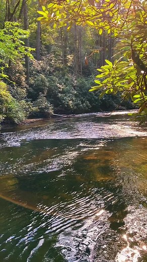 Ralph Stanley Rank Stranger - Bluegrass Fishing Hole Serenade