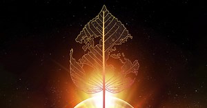 Chapman scientists push the limits of collaborative research, venturing beyond the rainforest to gather environmental data in space. | Chapman University