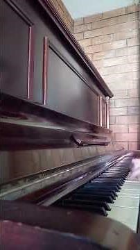 I tried to play "If We Hold On Together" (Diana Ross - The Land Before Time) on my out of tune piano