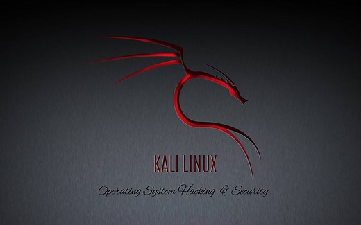 Windows引导kali Linux实现双系统（U盘安装）