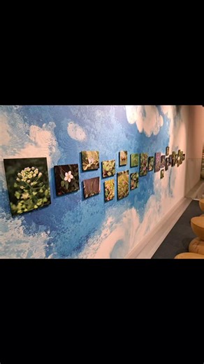 DAY 3 in KUMAMOTO KUMAMOTO CITY MUSEUM - Part 3 The Kumamoto City Museum, a part of the entire castle complex, is really impressive, covering pre-history and early human habitation, through to post-WW2 history. 🙏 #kumamotocitymuseum #kumamoto2026 #kyushu #kumamotocastle #slowlifeinjapan | Green Dean Rewilder