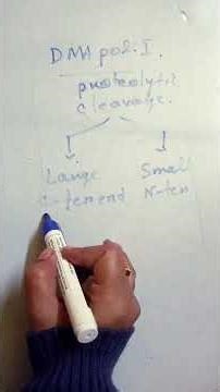 Klenow fragment #biology #microbiology #mysteryofmicrobes