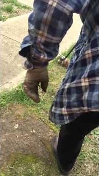 When Muskrats Attack.