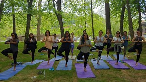 Private Yoga Classes Tailored to Your Group - Asheville Wellness Tours