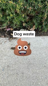 2.1K views · 18 comments | Your dog’s business is your business Dog...