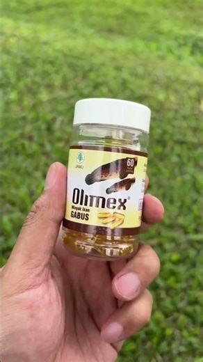 Kapsul Olimex Minyak Ikan Gabus Asli Original #olimex #minyakikangabusolimex #kapsulolimex