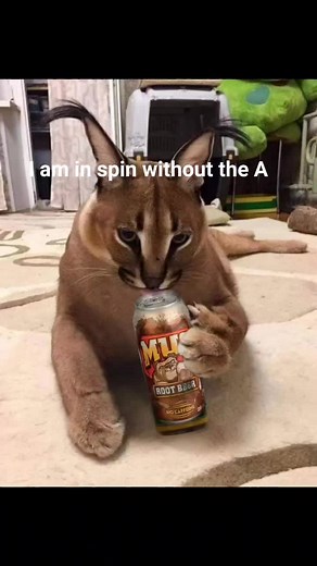 floppa solos goku on TikTok