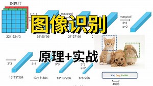 研究生必看！这绝对是B站讲得最清晰的图像识别教程，计算机博士2小时详解原理 项目实战，学完就能跑通毕设！（深度学习/Pytorch）