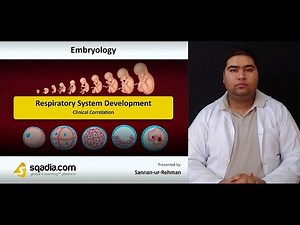 Respiratory System Development | Clinical Correlation