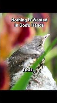 Nothing Is Wasted In God's Hands #powerfulprayer #motivation #prayerandpurpose