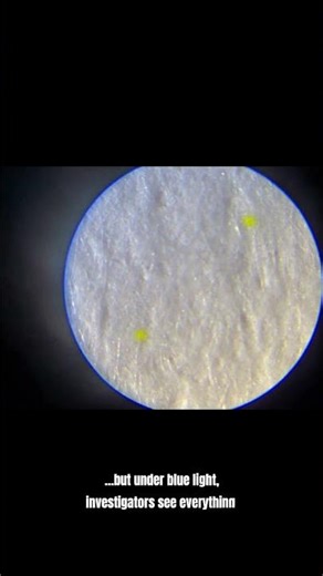 Your Printer Secretly Tracks You (MIC Dots Exposed)