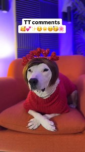 35K views · 1.3K reactions | I self moderate my comment section, don’t even try it also…those comments don’t scare me. KAREN IS TUFF #instacomments #instagramcomments #strong #tough #tuff #meme #karen #doggy #scary #memes | MisterMainer | Facebook