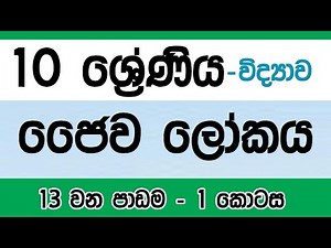 Grade 10 Science in Sinhala ජෛව ලෝකය සරලව | Lesson 13