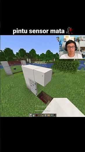Momen Pintu Sensor Mata Minecraft
