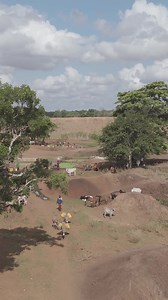 Carbon offset projects aren’t saving the planet—they’re displacing communities and greenwashing pollution. It’s time for real climate solutions that respect rights and empower communities. Put an end to carbon market exploitation 👉https://act.gp/3ZEKHAJ | Greenpeace Africa