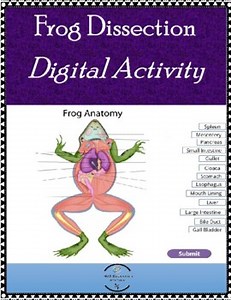 Digital Interactive Frog Dissection Google classroom, online learning