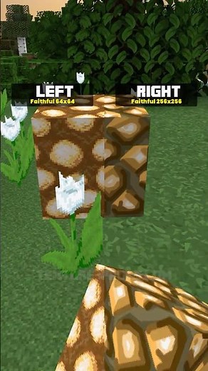Faithful 64x64 or Faithful 256x256 Texture Pack? #shorts