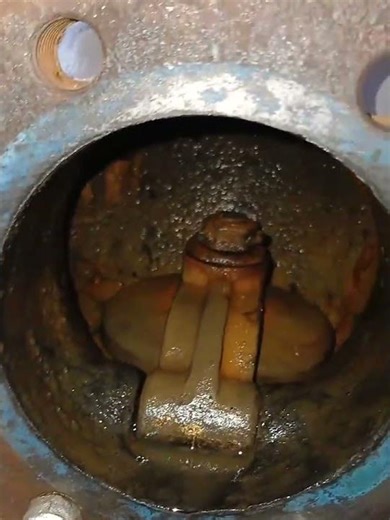 Check Valve Repairing