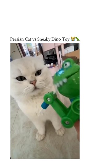 MST. AMINA on Instagram: "- This 12-second video features a humorous, staged moment between a white Persian cat and a green dinosaur-shaped toy with a lollipop attached. The Scene: A white Persian cat is sitting calmly while a green dinosaur toy is held close to its face. The toy has arm-like parts, and a lollipop is fixed at the end. - The Action: The lollipop is brought near the cat’s mouth. Just as the cat leans forward to lick or bite it, the lollipop suddenly retracts into the toy, likely u