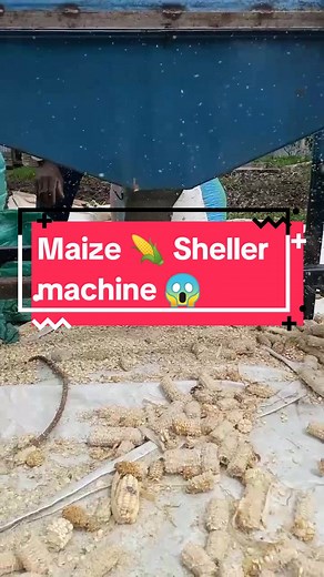 How the Maize Sheller Machine Works - Save Time and Money for Kenyan Farmers